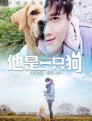 他是一只狗