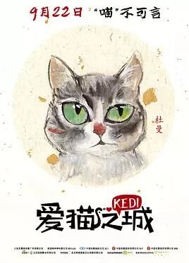 爱猫之城