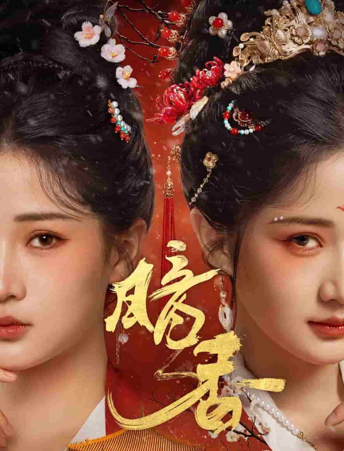 暗香短剧版